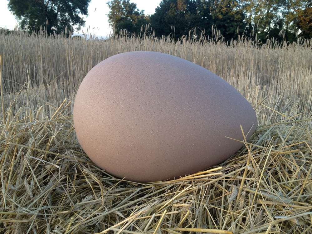 Giant Egg - Scenetec